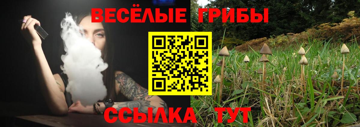 Кунгур  Псилоцибиновые грибы ЛСД  Вход с VPN 