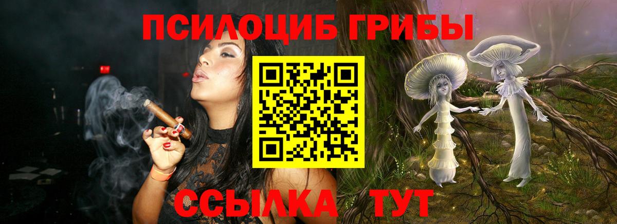 Псилоцибиновые грибы MAGIC MUSHROOMS Кунгур
